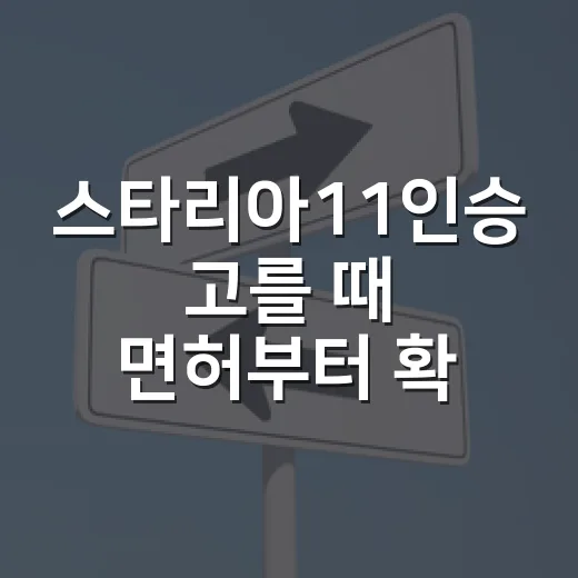 스타리아11인승 고를 때 면허부터 확인하는 방법 - 요약