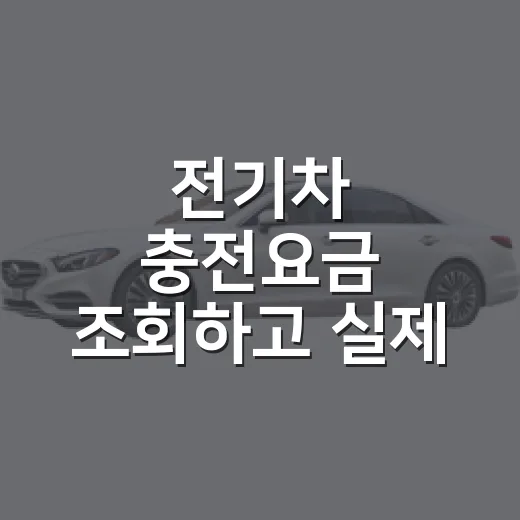 전기차 충전요금 조회하고 실제 결제액 확인하는 방법 - 요약