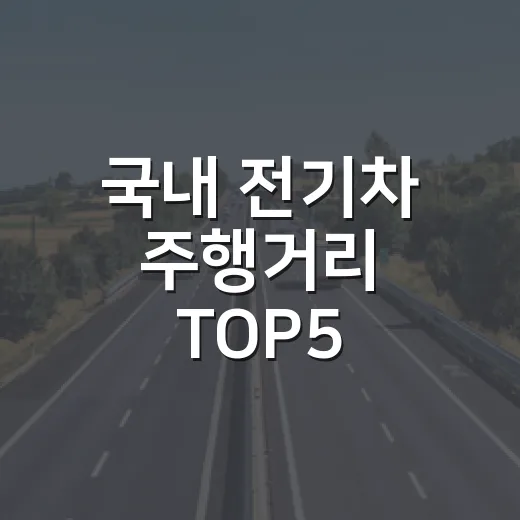 국내 전기차 주행거리 TOP5 제대로 비교하는 방법 - 요약