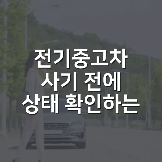 전기중고차 사기 전에 상태 확인하는 방법 - 요약