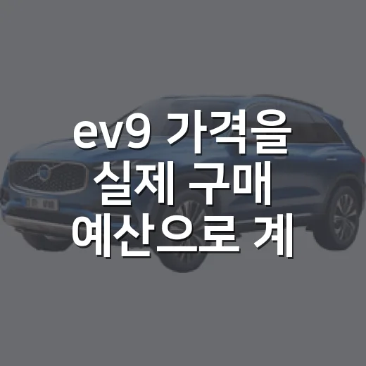 ev9 가격을 실제 구매 예산으로 계산하는 방법 - 요약