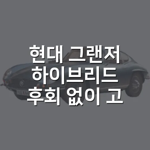 현대 그랜저 하이브리드 후회 없이 고르는 방법 - 요약