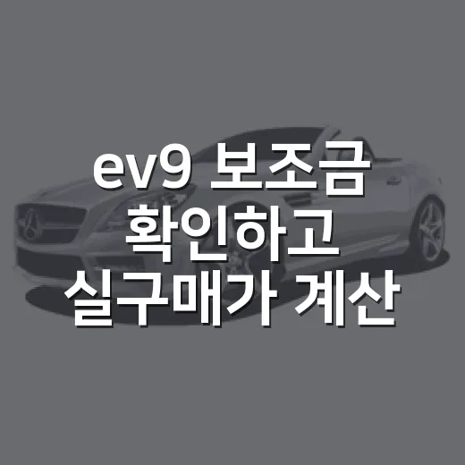 ev9 보조금 확인하고 실구매가 계산하는 방법 - 요약