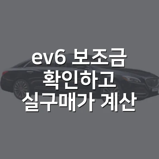 ev6 보조금 확인하고 실구매가 계산하는 방법 - 요약