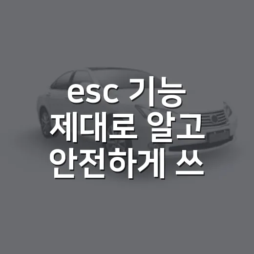 esc 기능 제대로 알고 안전하게 쓰는 방법 - 요약