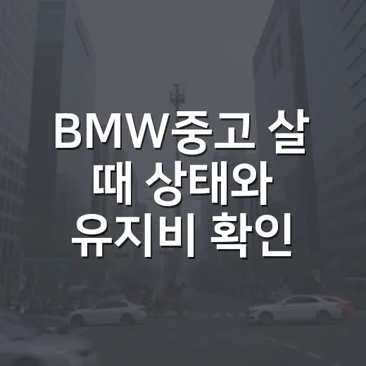 BMW중고 살 때 상태와 유지비 확인하는 방법 - 요약