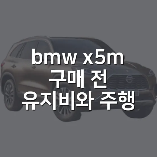bmw x5m 구매 전 유지비와 주행감 따져보는 방법 - 요약