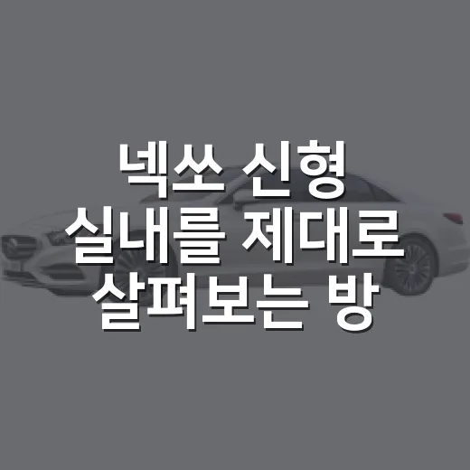 넥쏘 신형 실내를 제대로 살펴보는 방법 - 요약
