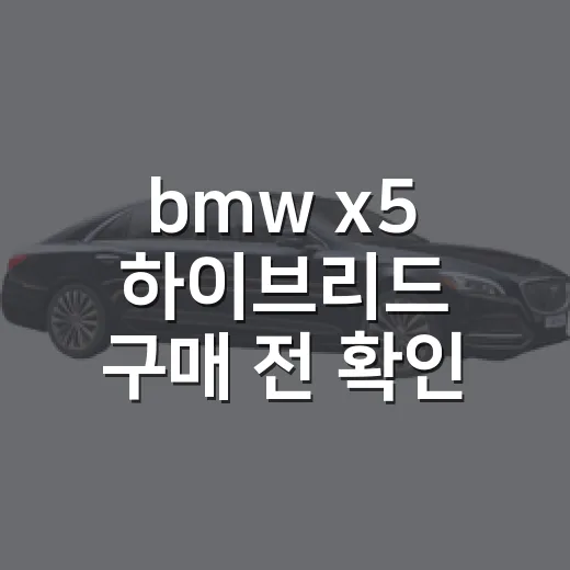 bmw x5 하이브리드 구매 전 확인하는 방법 - 요약