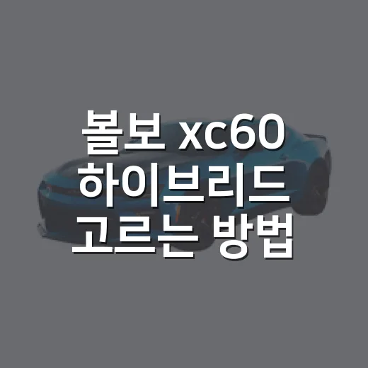 볼보 xc60 하이브리드 고르는 방법 - 요약