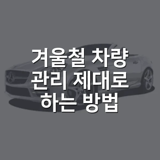 겨울철 차량 관리 제대로 하는 방법 - 요약