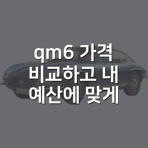 qm6 가격 비교하고 내 예산에 맞게 고르는 방법 - 요약