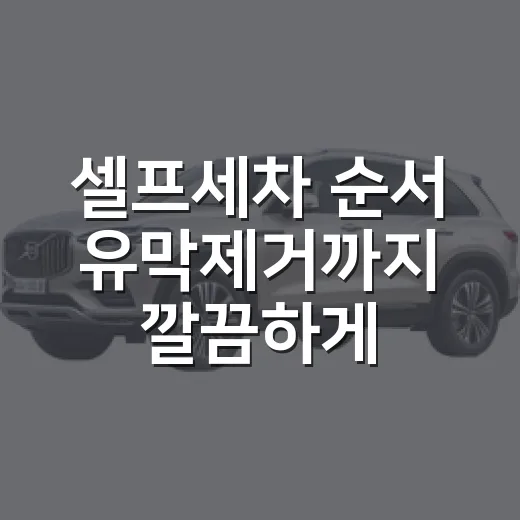 셀프세차 순서 유막제거까지 깔끔하게 하는 방법 - 요약