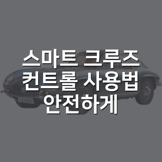 스마트 크루즈 컨트롤 사용법 안전하게 익히는 방법 - 요약