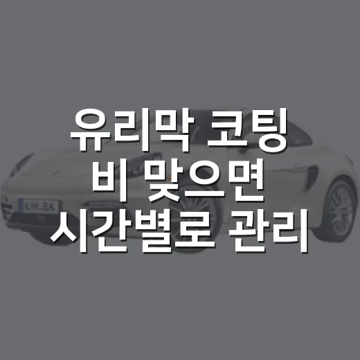유리막 코팅 비 맞으면 시간별로 관리하는 방법 - 요약