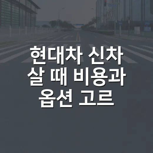 현대차 신차 살 때 비용과 옵션 고르는 방법 - 요약