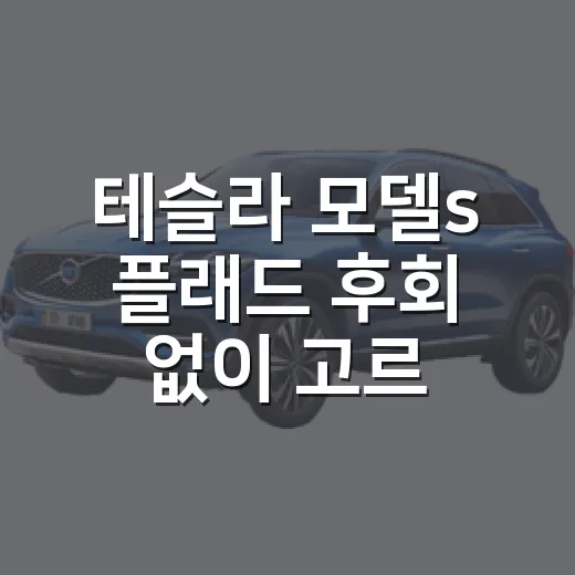 테슬라 모델s 플래드 후회 없이 고르는 방법 - 요약