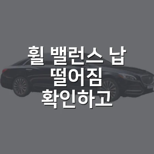 휠 밸런스 납 떨어짐 확인하고 대처하는 방법 - 요약