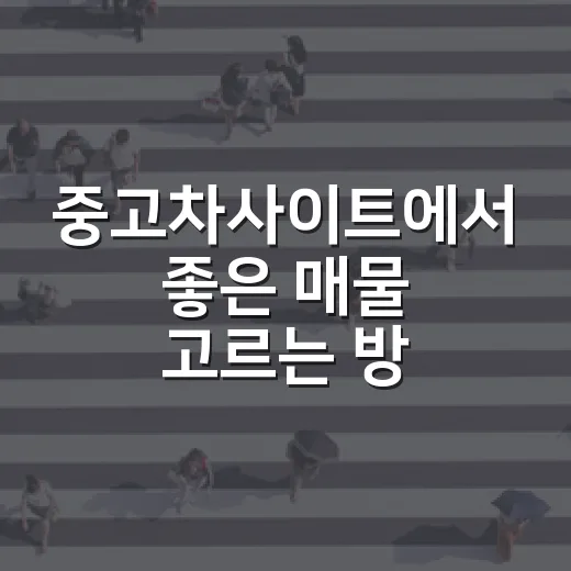 중고차사이트에서 좋은 매물 고르는 방법 - 요약