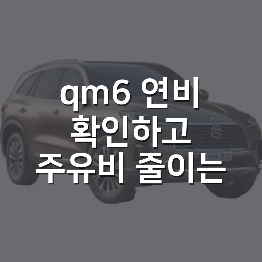 qm6 연비 확인하고 주유비 줄이는 방법 - 요약