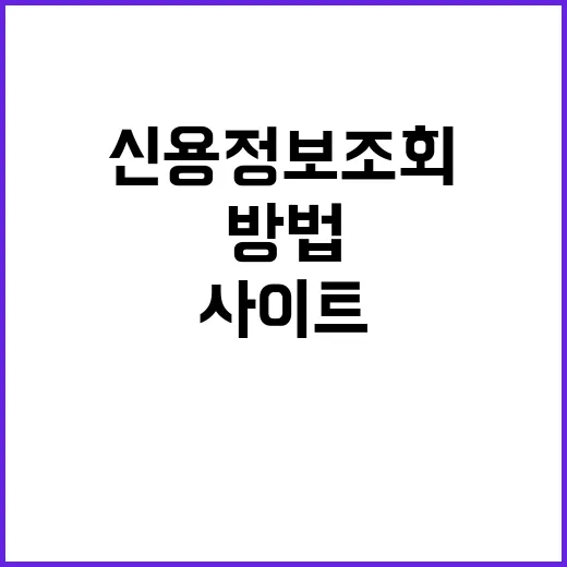 신용정보조회사이트 제대로 고르는 방법 - 요약
