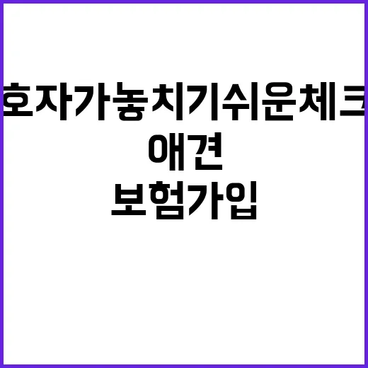 애견보험 가입하는 방법, 초보 보호자가 놓치기 쉬운 체크포인트 - 요약