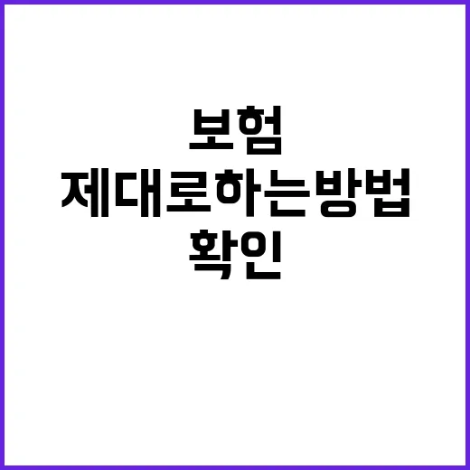 보험확인 제대로 하는 방법, 내 보험 놓치지 않으려면 이렇게 확인하세요 - 요약