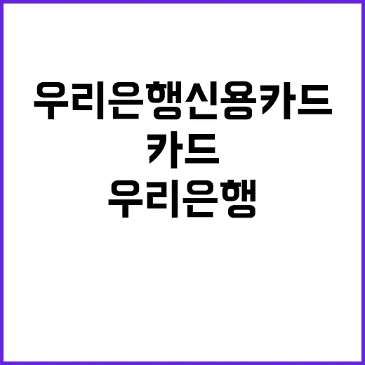 우리은행신용카드 고르려면 이렇게 비교하면 편해요 - 요약