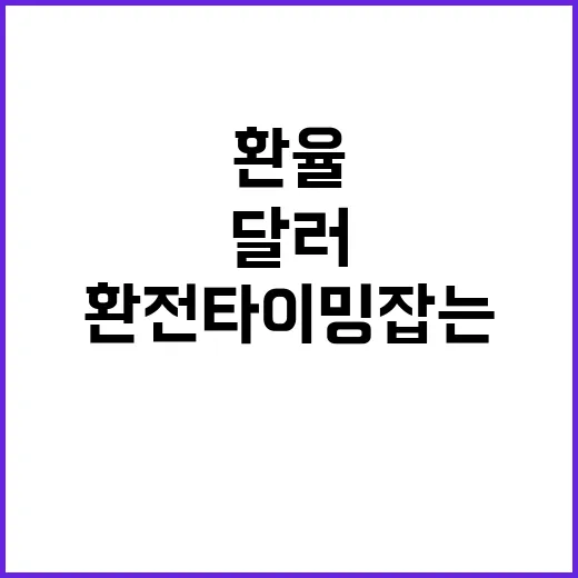 달러환율전망 보며 환전 타이밍 잡는 방법 - 요약