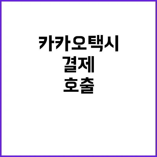 카카오택시 처음 쓰는 사람을 위한 호출·결제·취소 방법 - 요약