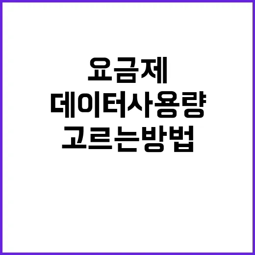 에스케이텔레콤 요금제 고르는 방법, 데이터 사용량부터 보면 쉬워요 - 요약