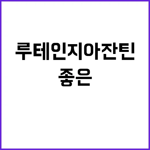 루테인지아잔틴 고르는 방법, 눈 피로가 잦은 사람이 보면 좋은 기준 - 요약