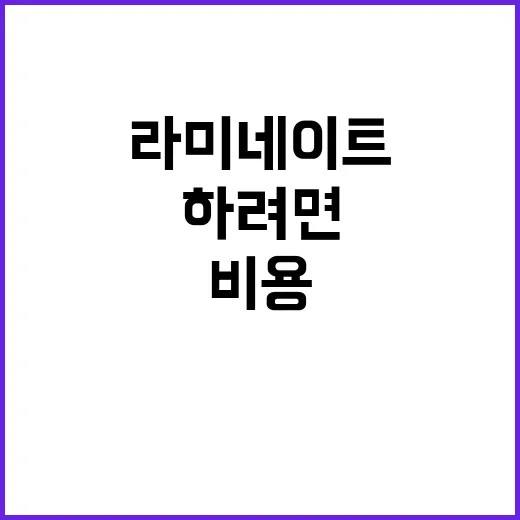 라미네이트 하려면 이렇게 준비하세요: 비용부터 유지관리까지 현실적인 방법 - 요약