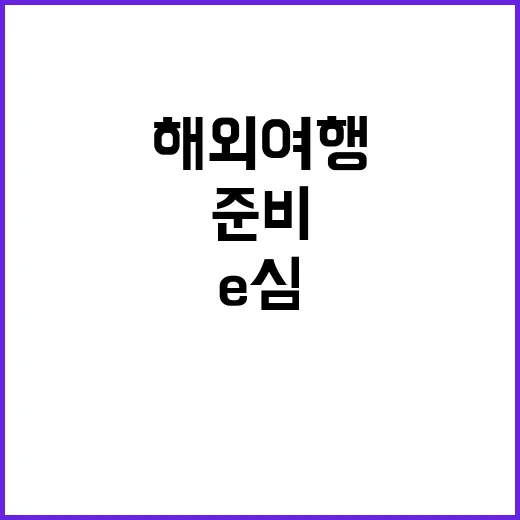 초보자를 위한 E심 사용하는 방법, 해외여행 전 이렇게 준비하세요 - 요약