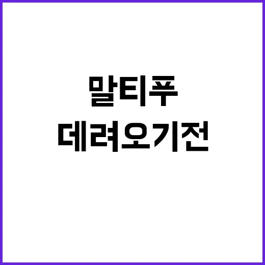 말티푸 키우는 방법, 처음 데려오기 전 꼭 챙길 것들 - 요약