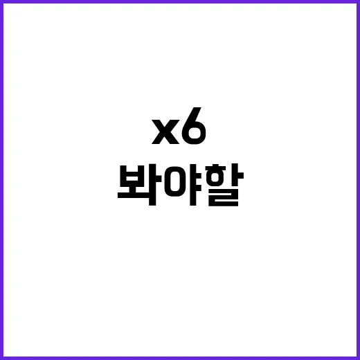 초보자를 위한 X6 선택 방법, 트림보다 먼저 봐야 할 것들 - 요약