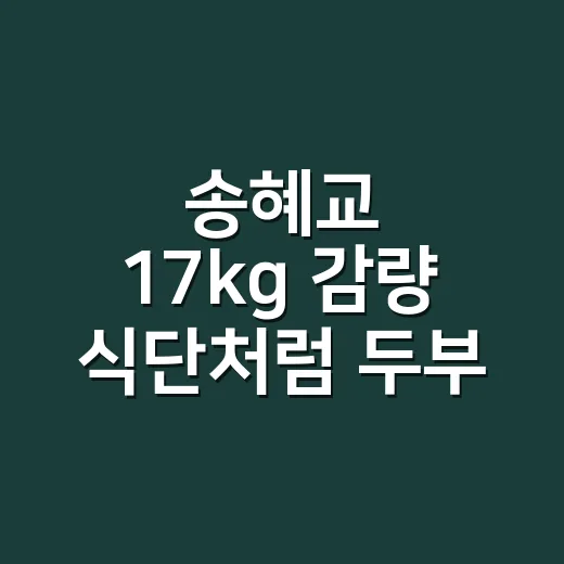 송혜교 17kg 감량 식단처럼 두부 양배추 샐러드 만드는 방법 - 요약