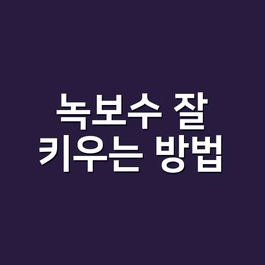 녹보수 잘 키우는 방법, 잎이 처지기 전에 챙길 것들 - 요약