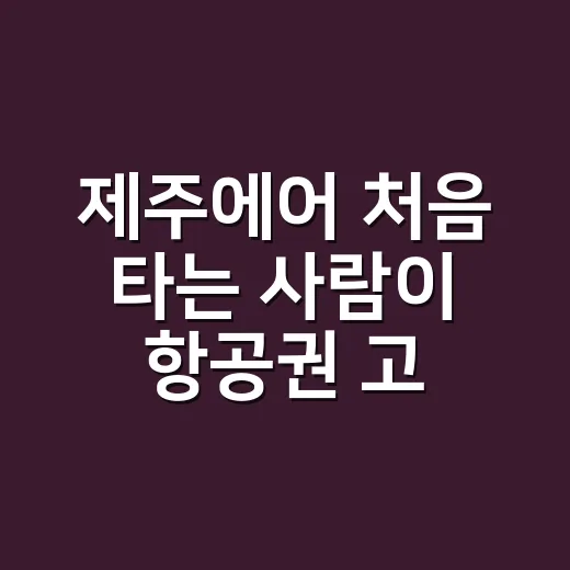 제주에어 처음 타는 사람이 항공권 고르고 짐 챙기는 방법 - 요약