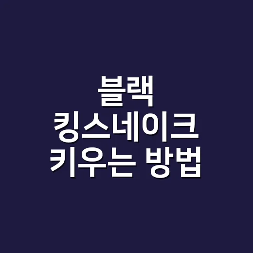 블랙 킹스네이크 키우는 방법, 초보자가 먼저 챙길 것들 - 요약