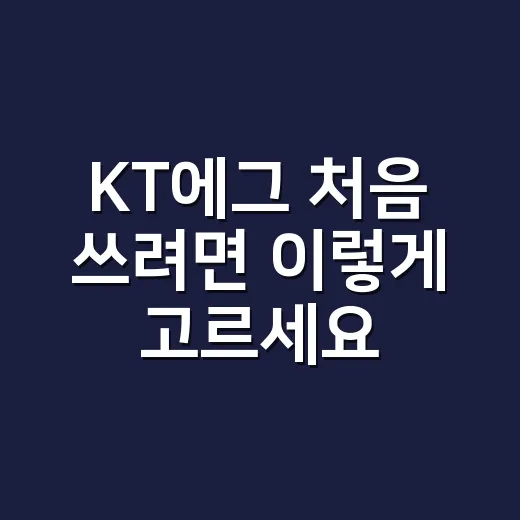 KT에그 처음 쓰려면 이렇게 고르세요 - 요약