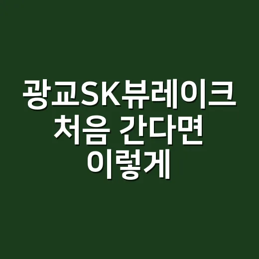 광교SK뷰레이크 처음 간다면 이렇게 보면 편해요 - 요약