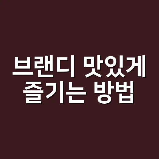 브랜디 맛있게 즐기는 방법, 초보자라면 이렇게 시작하면 편해요 - 요약