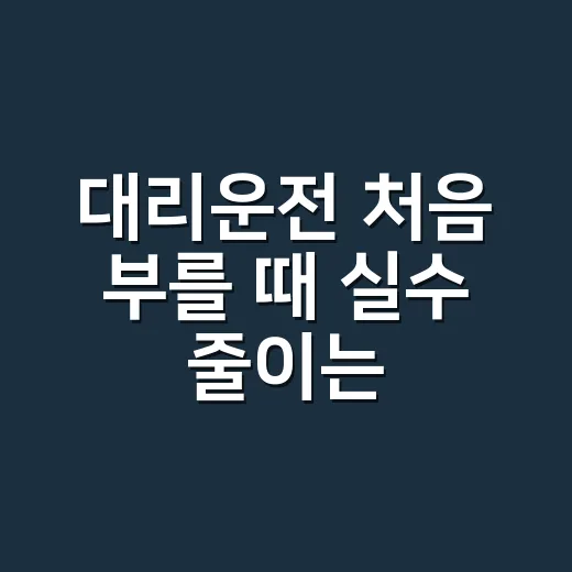 대리운전 처음 부를 때 실수 줄이는 방법 - 요약