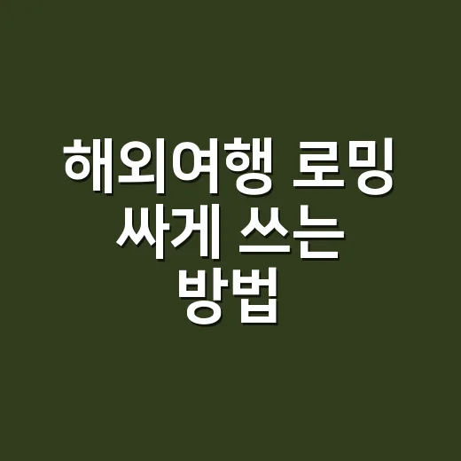해외여행 로밍 싸게 쓰는 방법, 출국 전 이렇게 고르면 덜 헷갈려요 - 요약