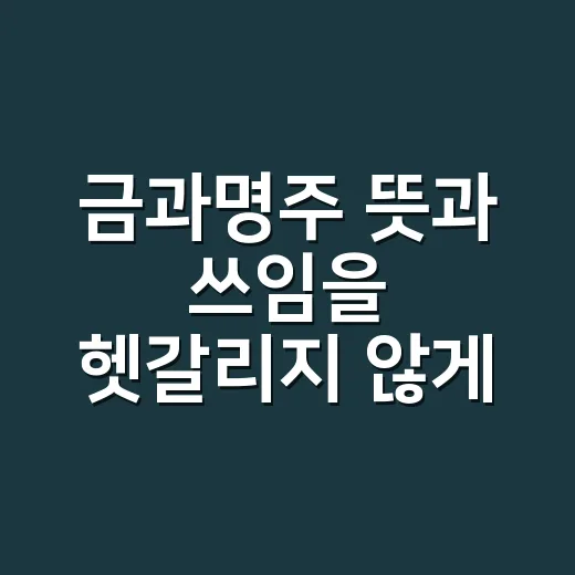 금과명주 뜻과 쓰임을 헷갈리지 않게 익히는 방법 - 요약