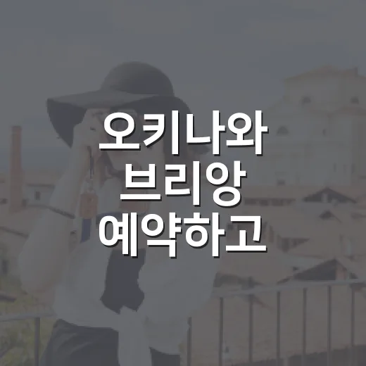 오키나와 브리앙 예약하고 제대로 즐기는 방법 - 요약