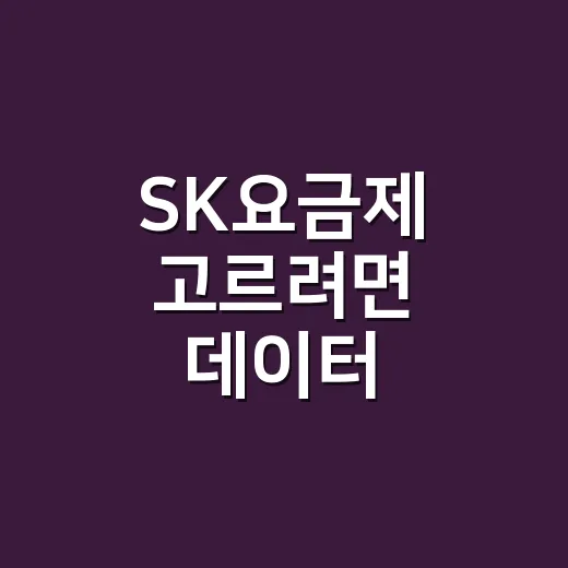 SK요금제 고르려면 데이터 사용량부터 이렇게 확인하세요 - 요약