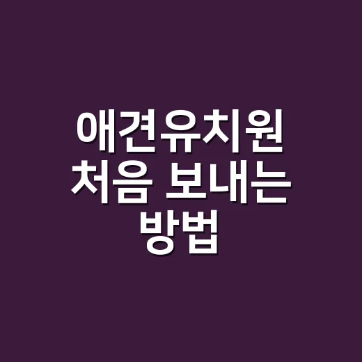 애견유치원 처음 보내는 방법, 비용부터 적응 체크까지 - 요약