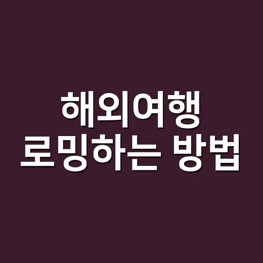 해외여행 로밍하는 방법, 초보자도 요금 폭탄 피하려면 이렇게 - 요약